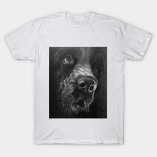 Dog T-Shirt